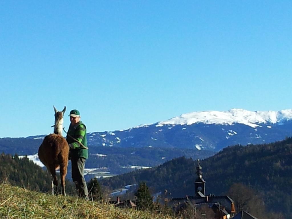 Gasthof Kirchmoar Sankt Blasen Kültér fotó